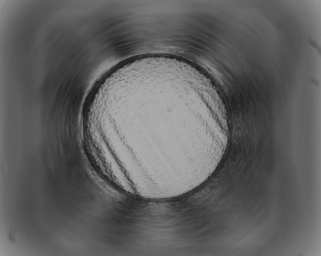 X0000091201080200709061408