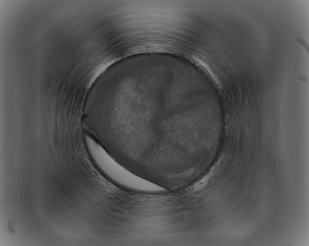 X0000091201081200709061408