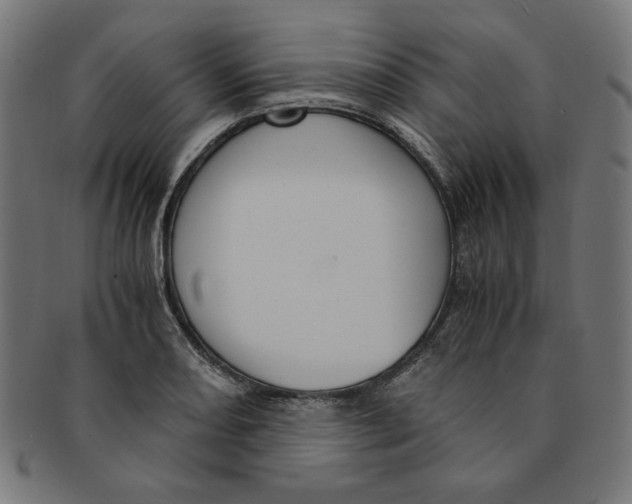 X0000091201082200709061408