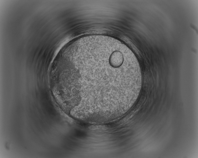 X0000091201083200709061408