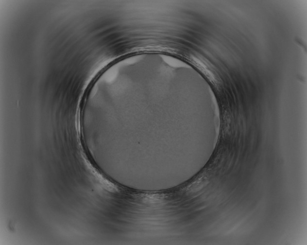 X0000091201084200709061408