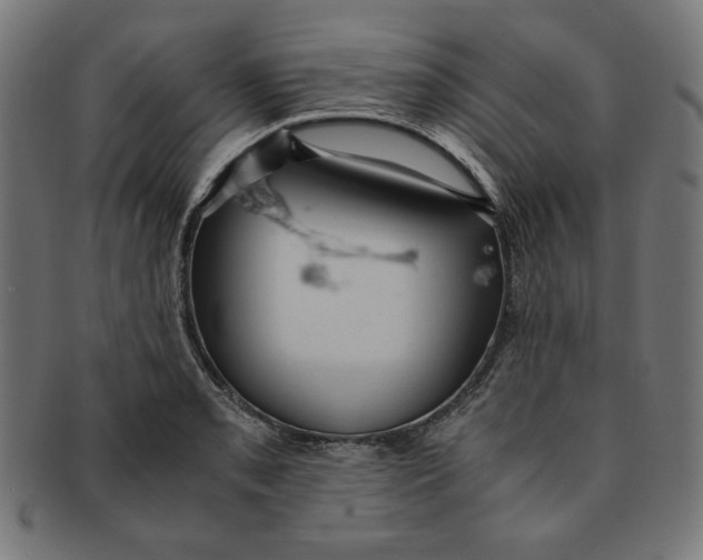 X0000091201085200709061408