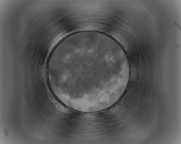 X0000091201086200709061408