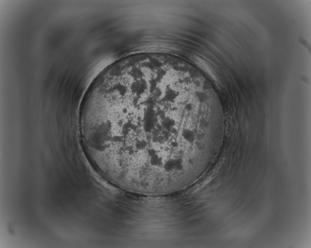 X0000091201087200709061408