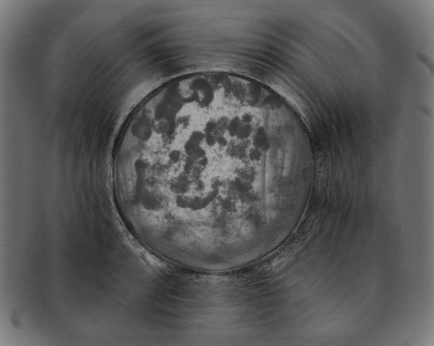 X0000091201088200709061408