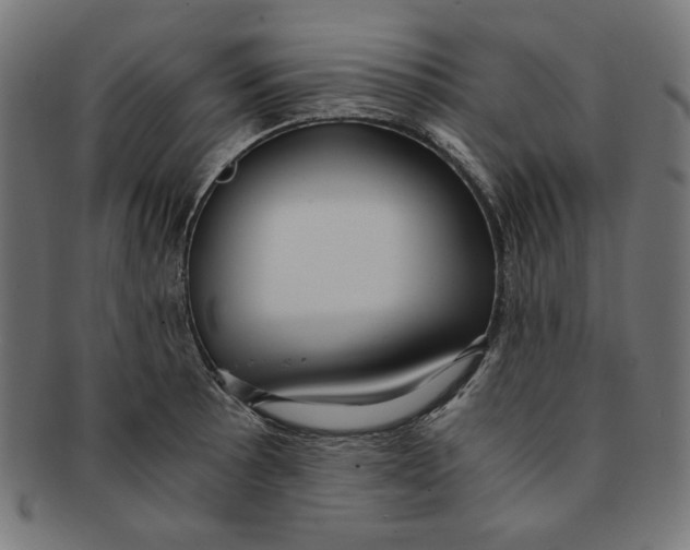 X0000091201089200709061408