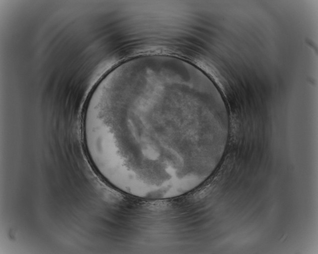 X0000091201090200709061408