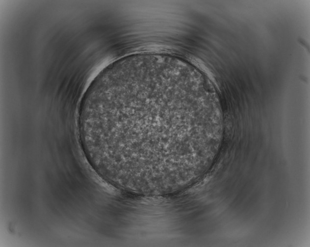 X0000091201091200709061408