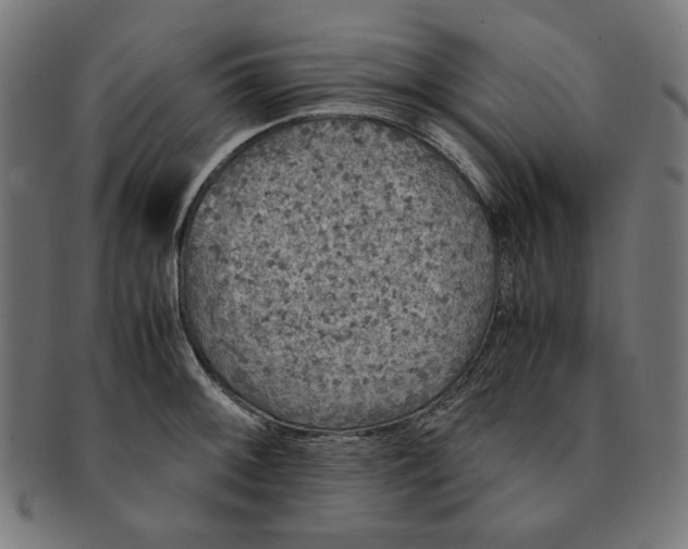 X0000091201092200709061408