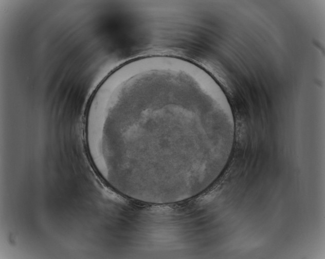 X0000091201094200709061408