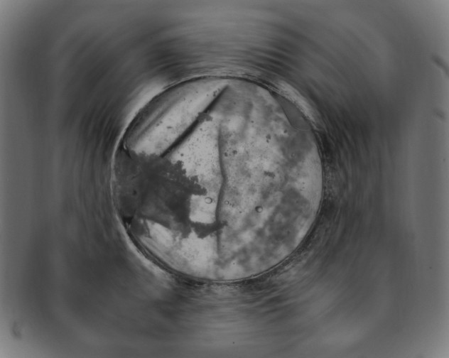 X0000091201095200709061408