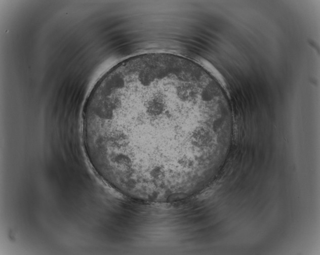 X0000091201096200709061408