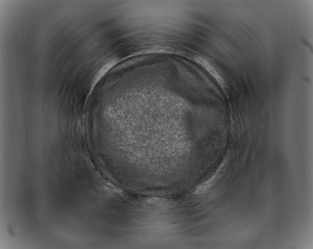 X0000091201097200709061408