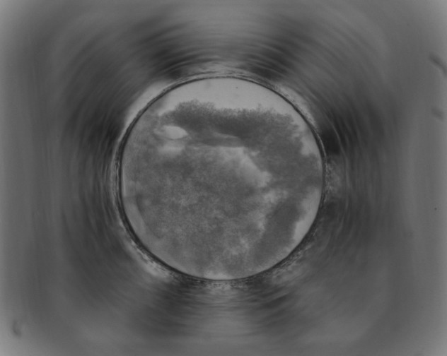 X0000091201098200709061408