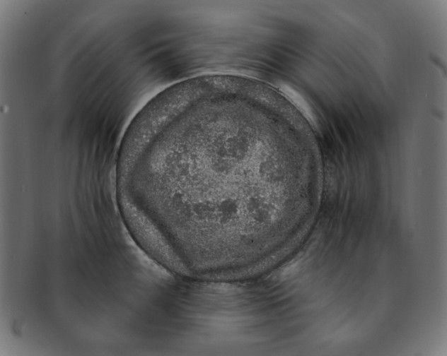 X0000091201100200709061408