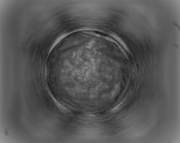 X0000091201101200709061408