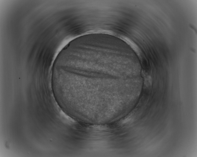 X0000091201102200709061408