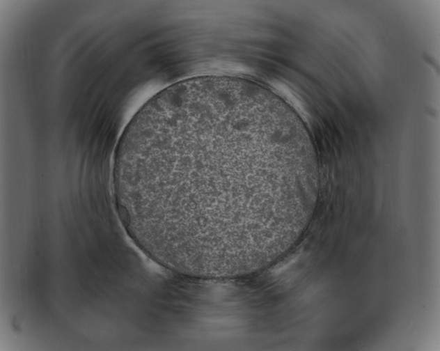 X0000091201103200709061408