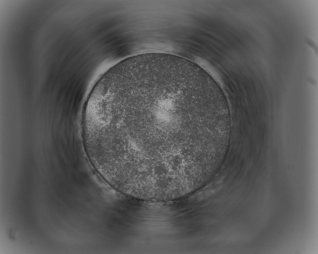 X0000091201104200709061408