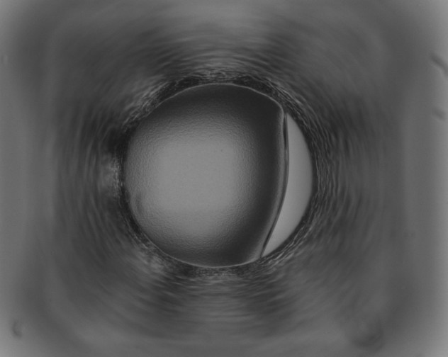 X0000091201108200709061407