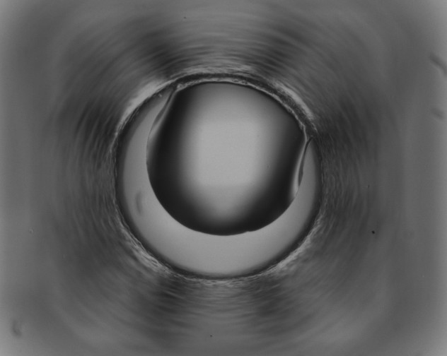 X0000091201114200709061408