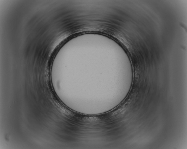 X0000091201119200709061408