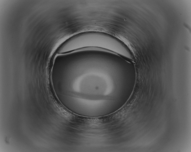 X0000091201120200709061408