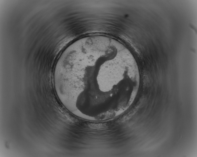 X0000091201121200709061408