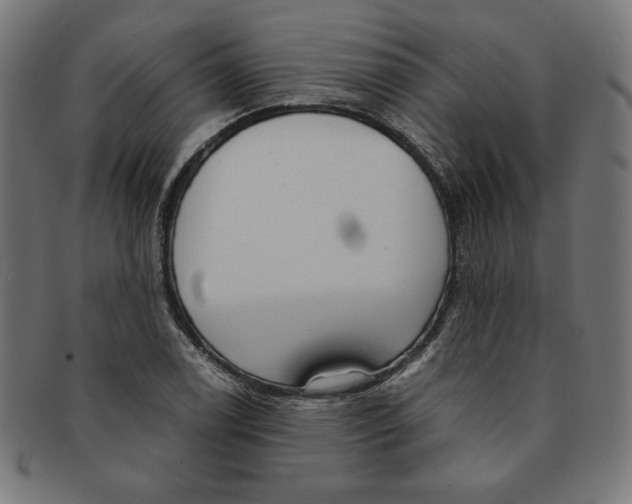X0000091201122200709061408