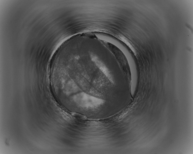 X0000091201124200709061408