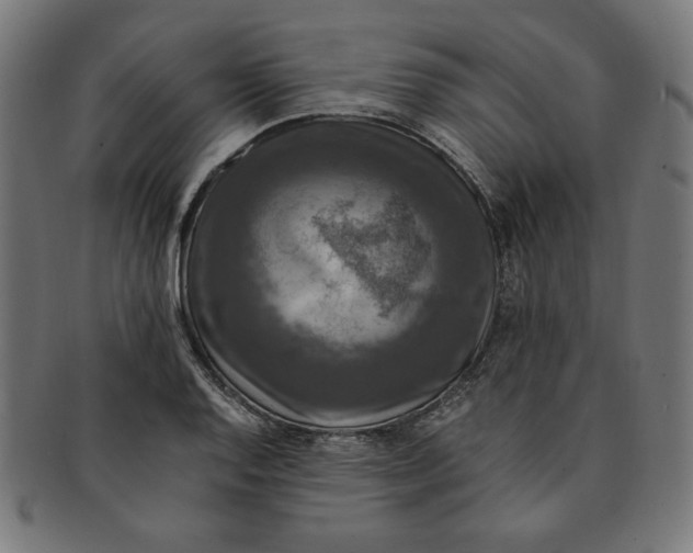 X0000091201128200709061408