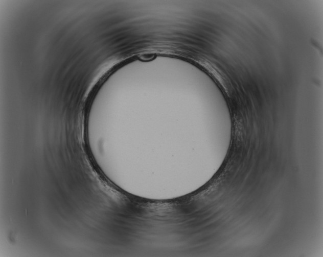 X0000091201131200709061408