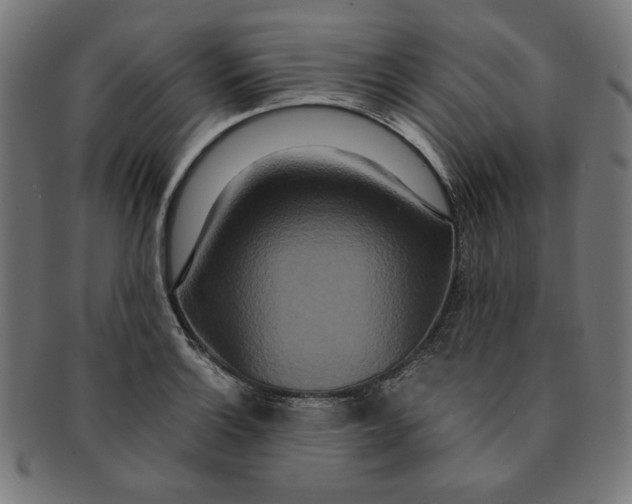 X0000091201132200709061408