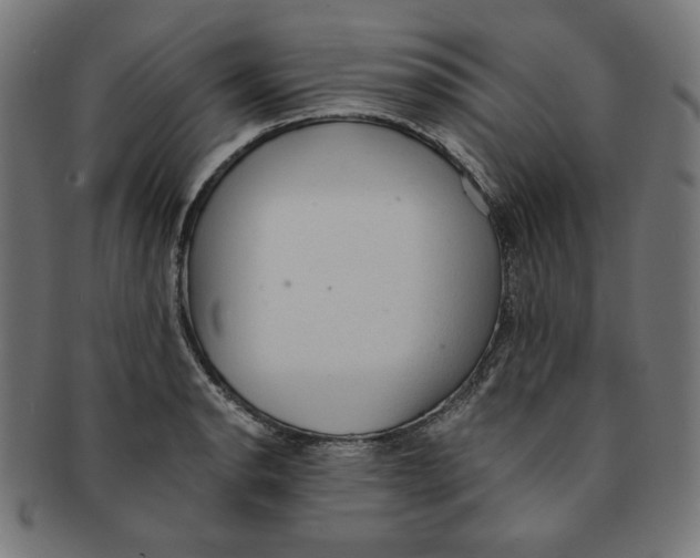 X0000091201134200709061408