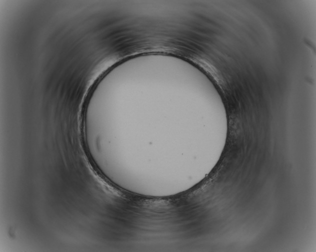 X0000091201135200709061408