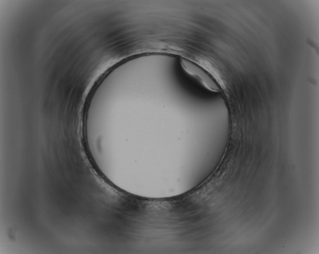 X0000091201136200709061408