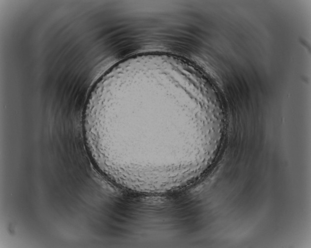 X0000091201137200709061408