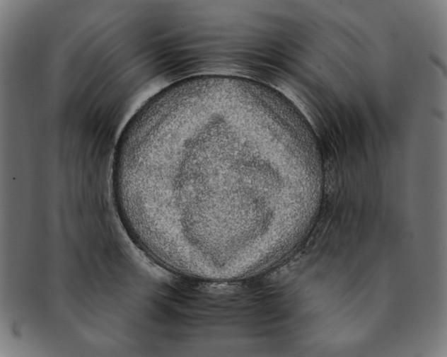 X0000091201139200709061408