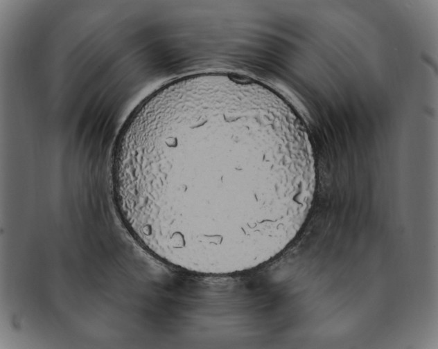 X0000091201142200709061408