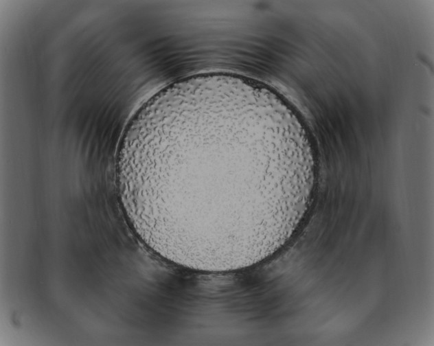 X0000091201145200709061408
