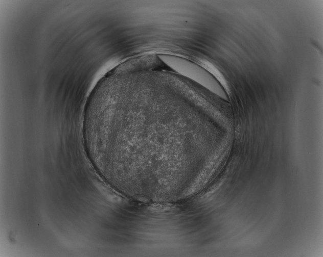 X0000091201146200709061408