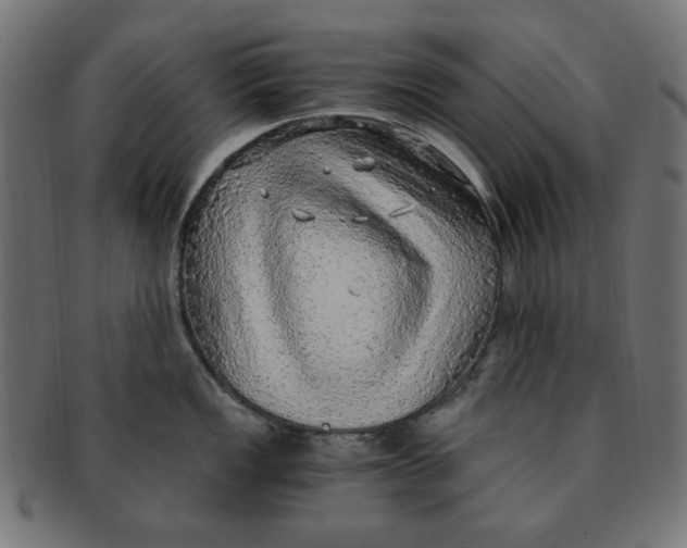 X0000091201149200709061408