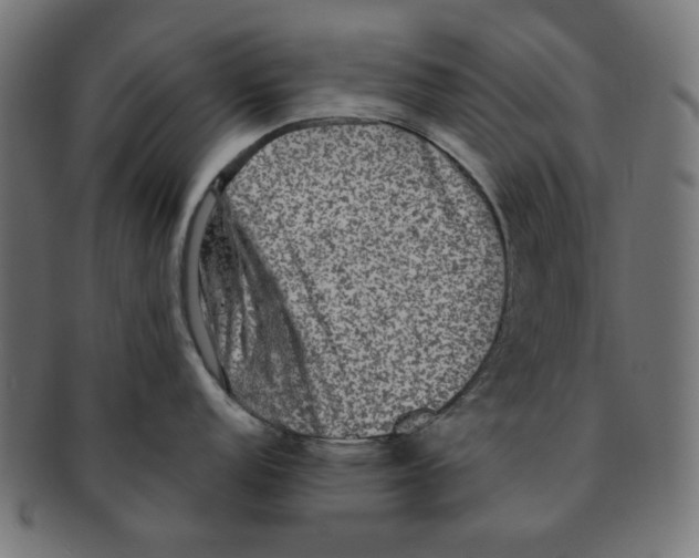 X0000091201152200709061408