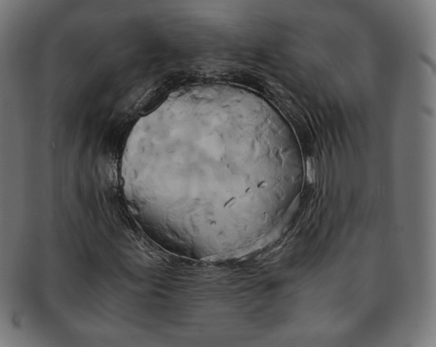 X0000091201155200709061407
