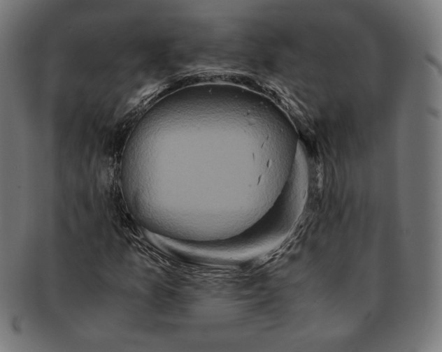 X0000091201157200709061407