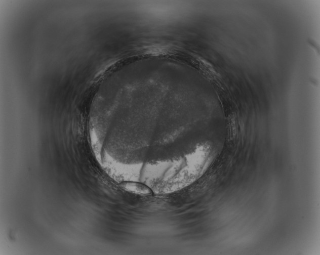 X0000091201158200709061407