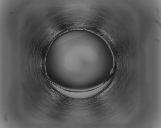 X0000091201161200709061407