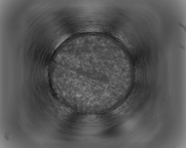 X0000091201162200709061407