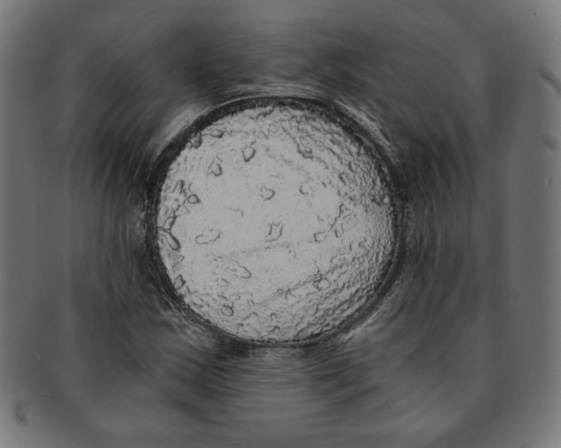 X0000091201163200709061407