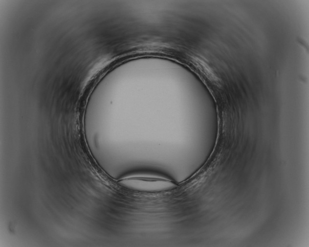 X0000091201164200709061407